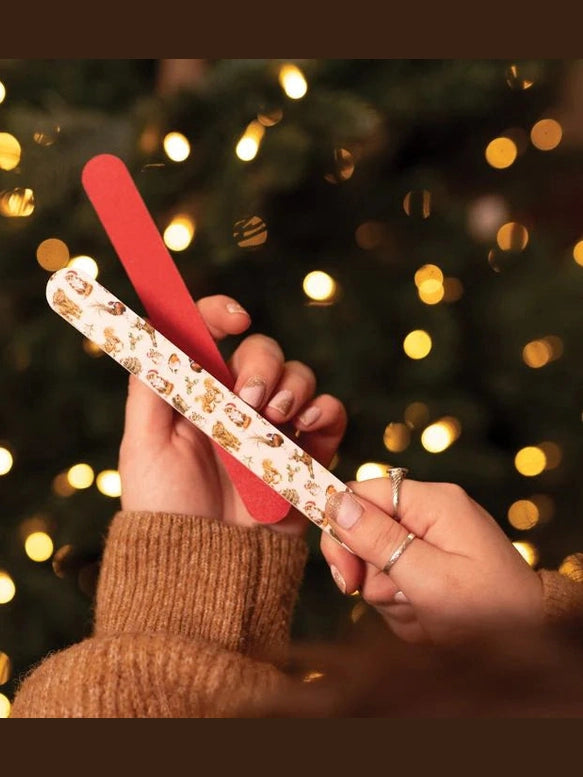 Nail File Set Christmas Winter Wonderland XNail001