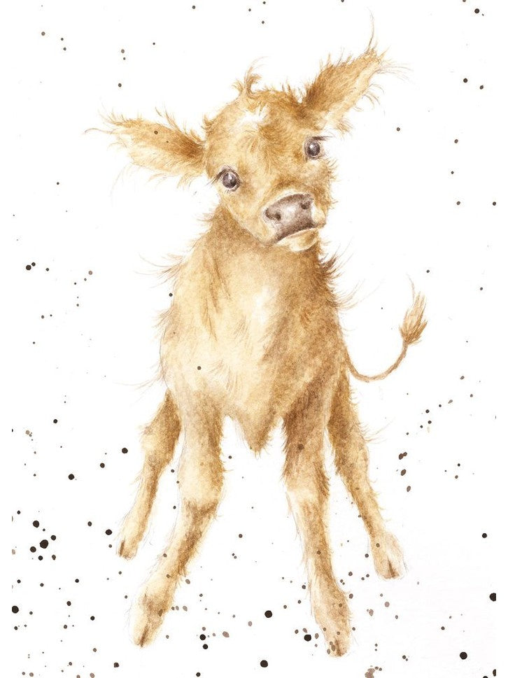 Card - ACS043 - Calf