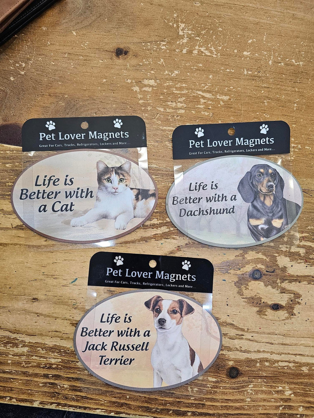 Dog and Cat car magnets