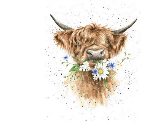 Discover the Beauty of Wrendale Cards at Our Asheville and Hendersonville Stores