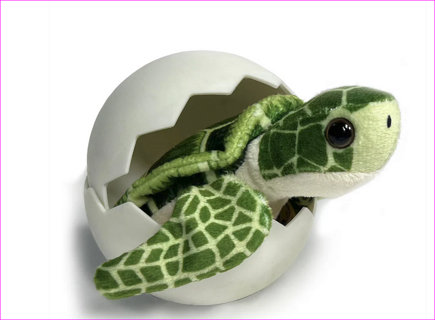 Experience the Magic of Sea Turtle Hatchlings: A Step Towards Conservation