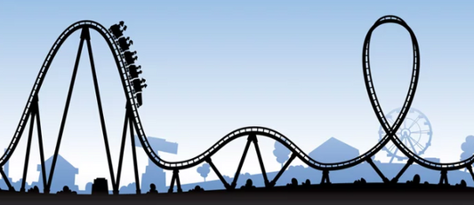 Life Is a Roller Coaster — And That’s Okay