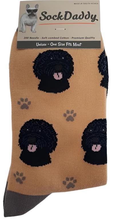 Socks  Labradoodle (Black) Dog              800-12A  H 