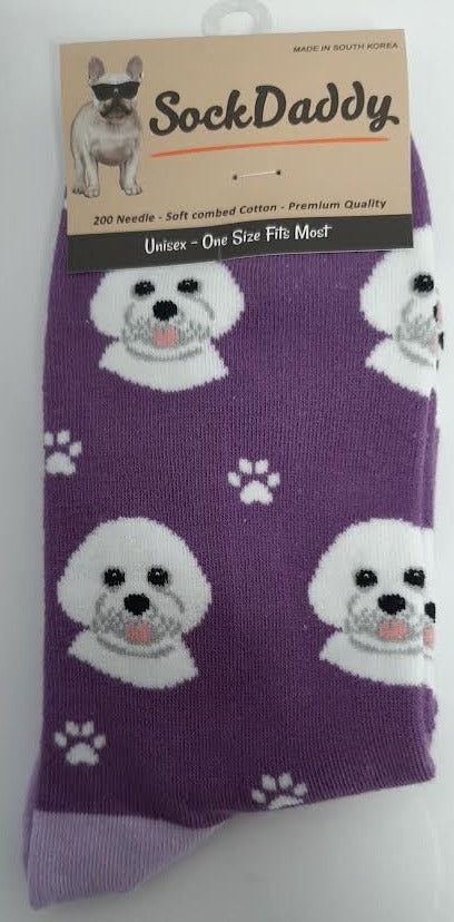 Bichon Frise Dog Socks 