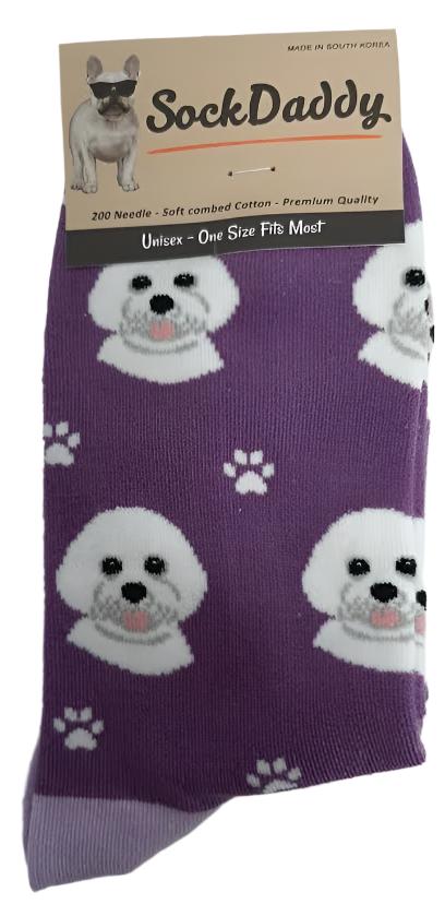 Socks  Bichon Frise Dog      800-4  H 