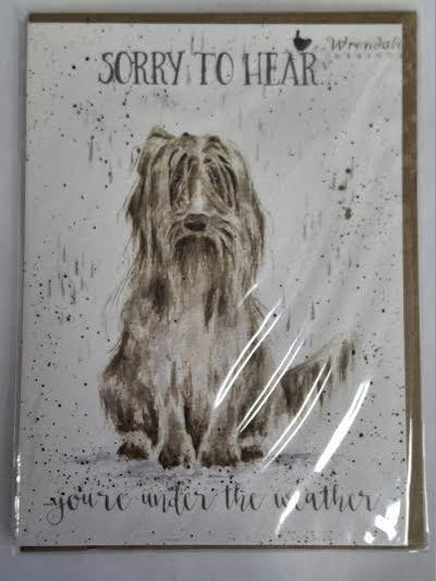 Card Aoc024 Under The Weather Dog Sorry To Hear