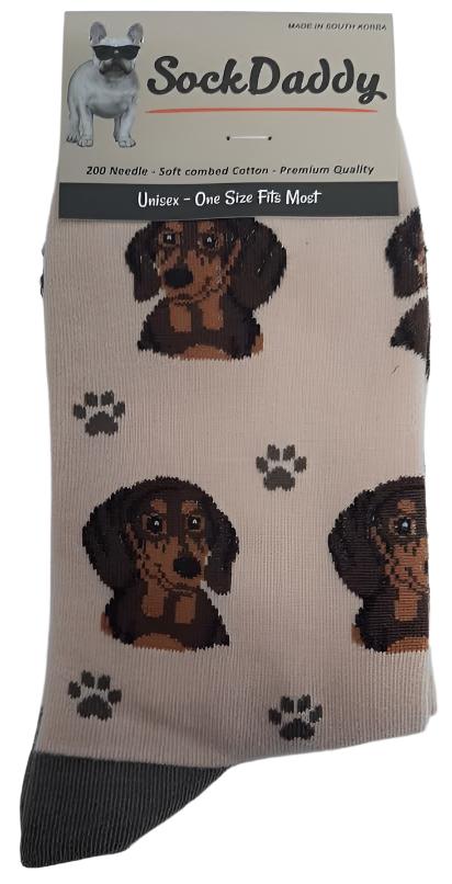 Socks  Dachshund (Red) Dog                  800-14  H 