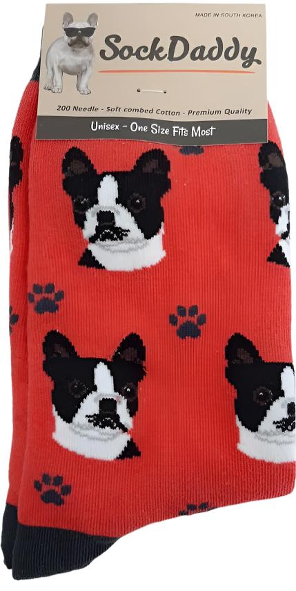 Socks  Boston Terrier Dog        800-76  H 