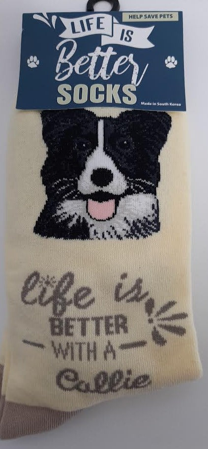 Border Collie Dog Socks -840-5 