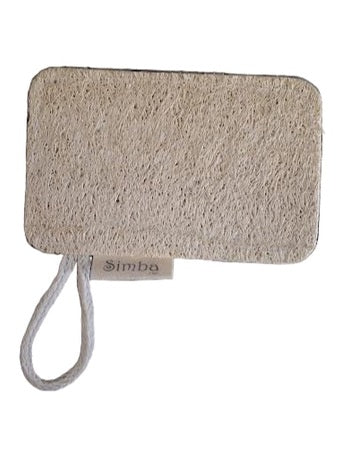 Sponge 2.75" x 4"