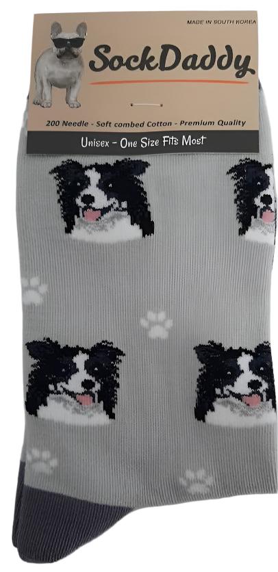 Socks  Border Collie Dog        800-5  H 