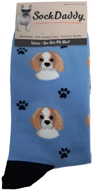 Socks  Cavalier King Charles Dog      800-18  H 