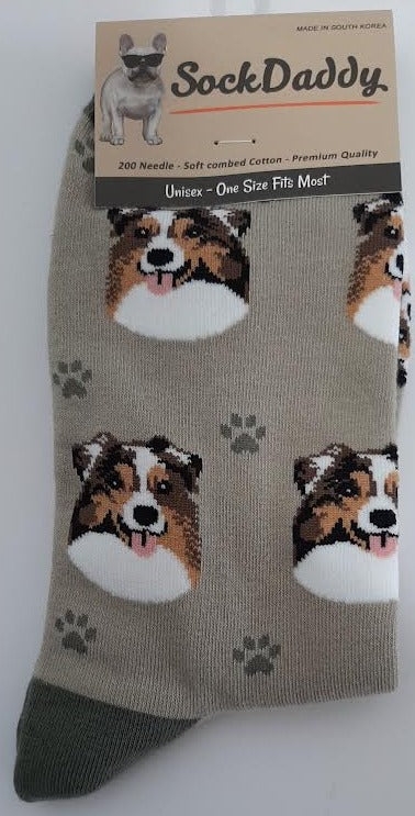 Australian Shepherd Dog Socks-800-53 