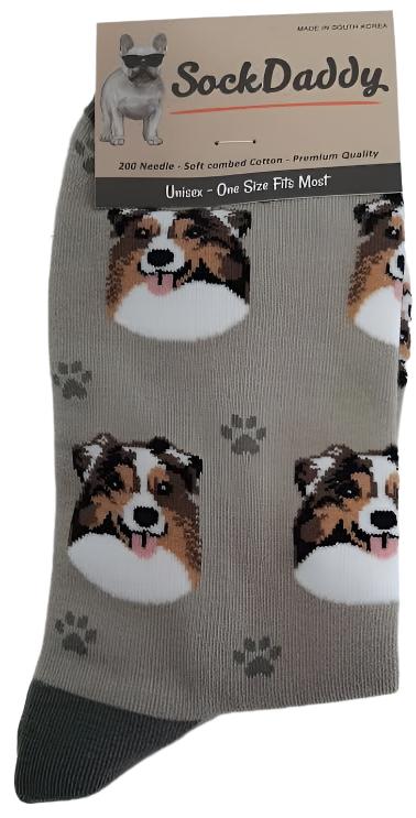 Socks  Australian Shepherd Dog     800-53  H 