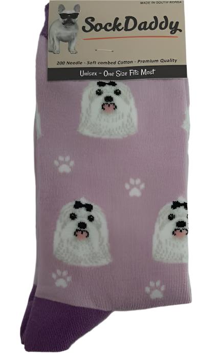 Socks  Maltese Dog            800-24  H 