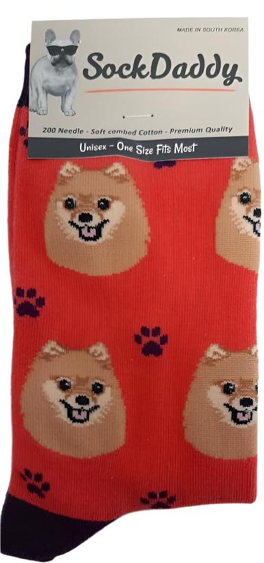 Socks  Pomeranian Dog              800-27  H 