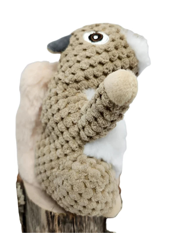 Squirrel  Dog Toy 