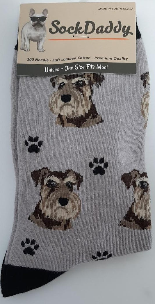 Schnauzer,uc-sock-os 