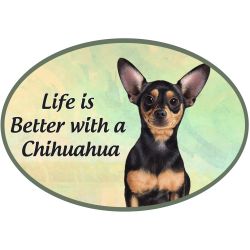 Car Magnet   Chihuahua Black Dog  1001-11 