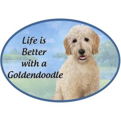 Car Magnet   Goldendoodle Dog   1001-134 