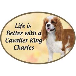 Car Magnet - King Charles Cavalier-Dog - 1001-18 