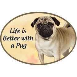 Car Magnet   Pug Dog     1001-31 