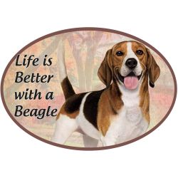 Car Magnet - Beagle-Dog - 1001-3 
