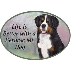 Car Magnet   Bernese Mtn Dog    1001-52 