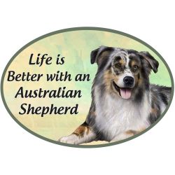 Car Magnet   Australian Shepherd      1001-53 