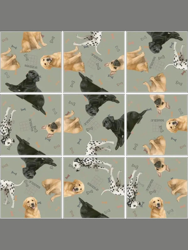 Squizzle Dogs 1043