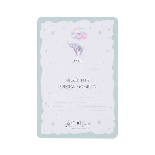 Baby's First Year - Milestone Cards - LTW- MC001 