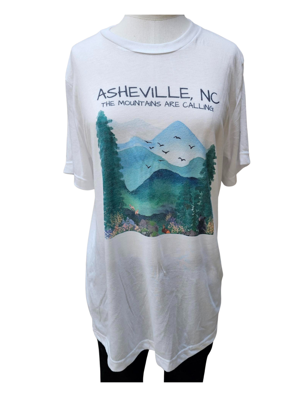 Tee Shirt  Mountains Asheville White