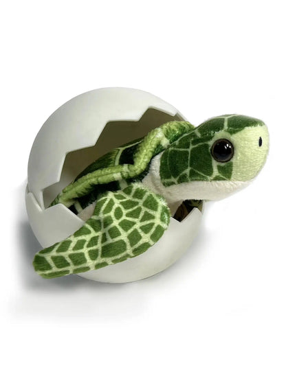 Sea Turtle Hatchling Egg   CACHA413P