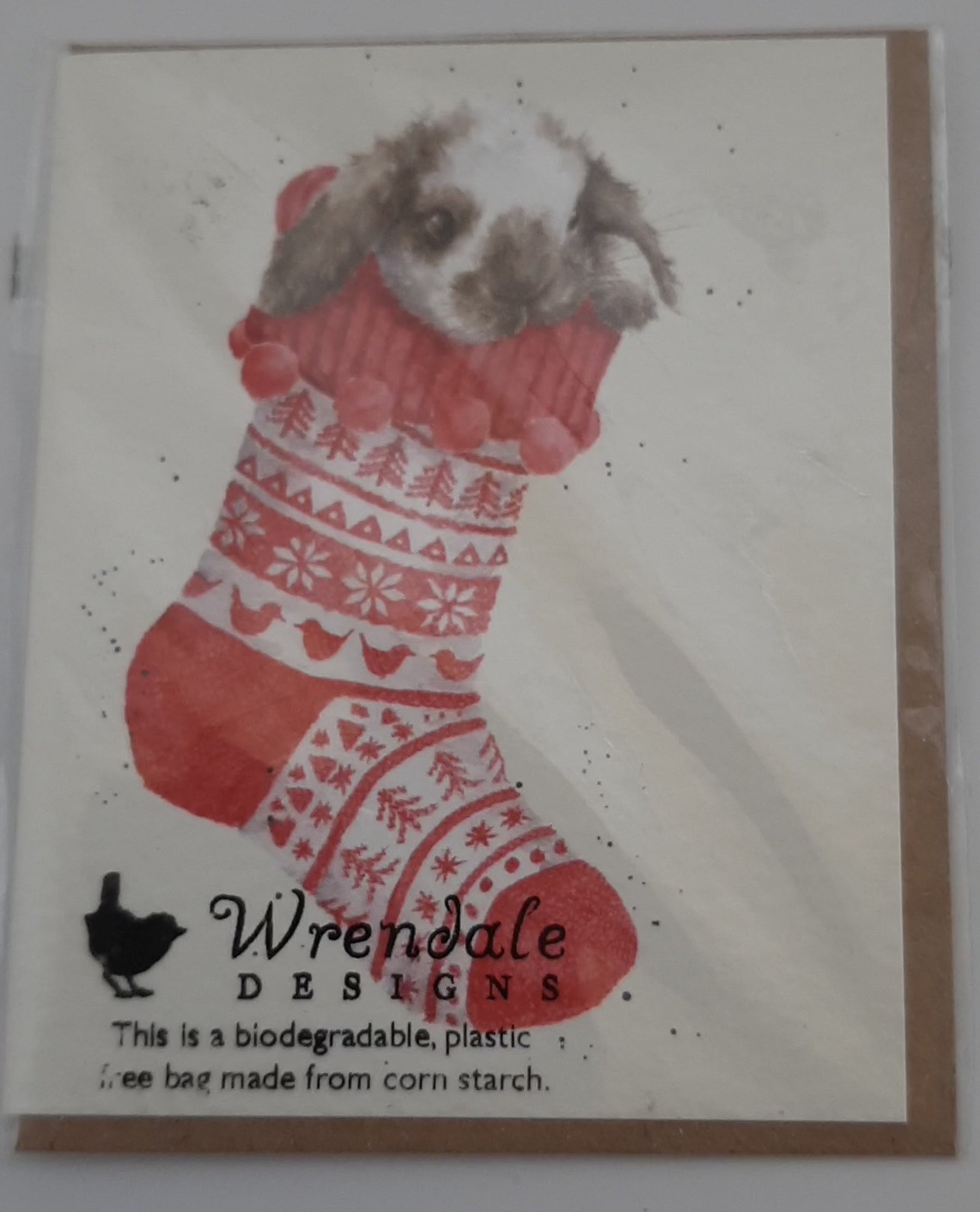 Gift Enclosure Card - AXGE024 - Christmas Stocking - 