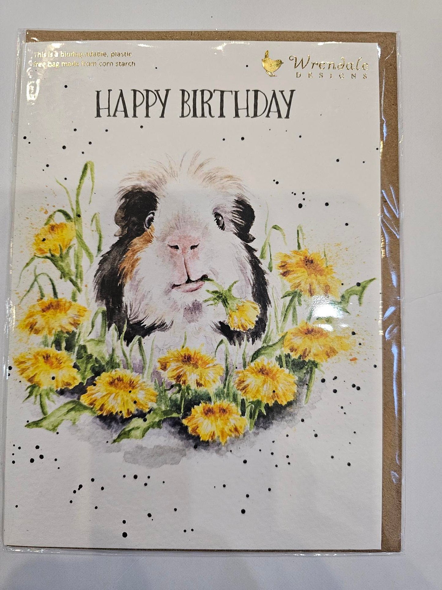 Card Aoc206 Dandy Day Happy Birthday Guinea Pig 