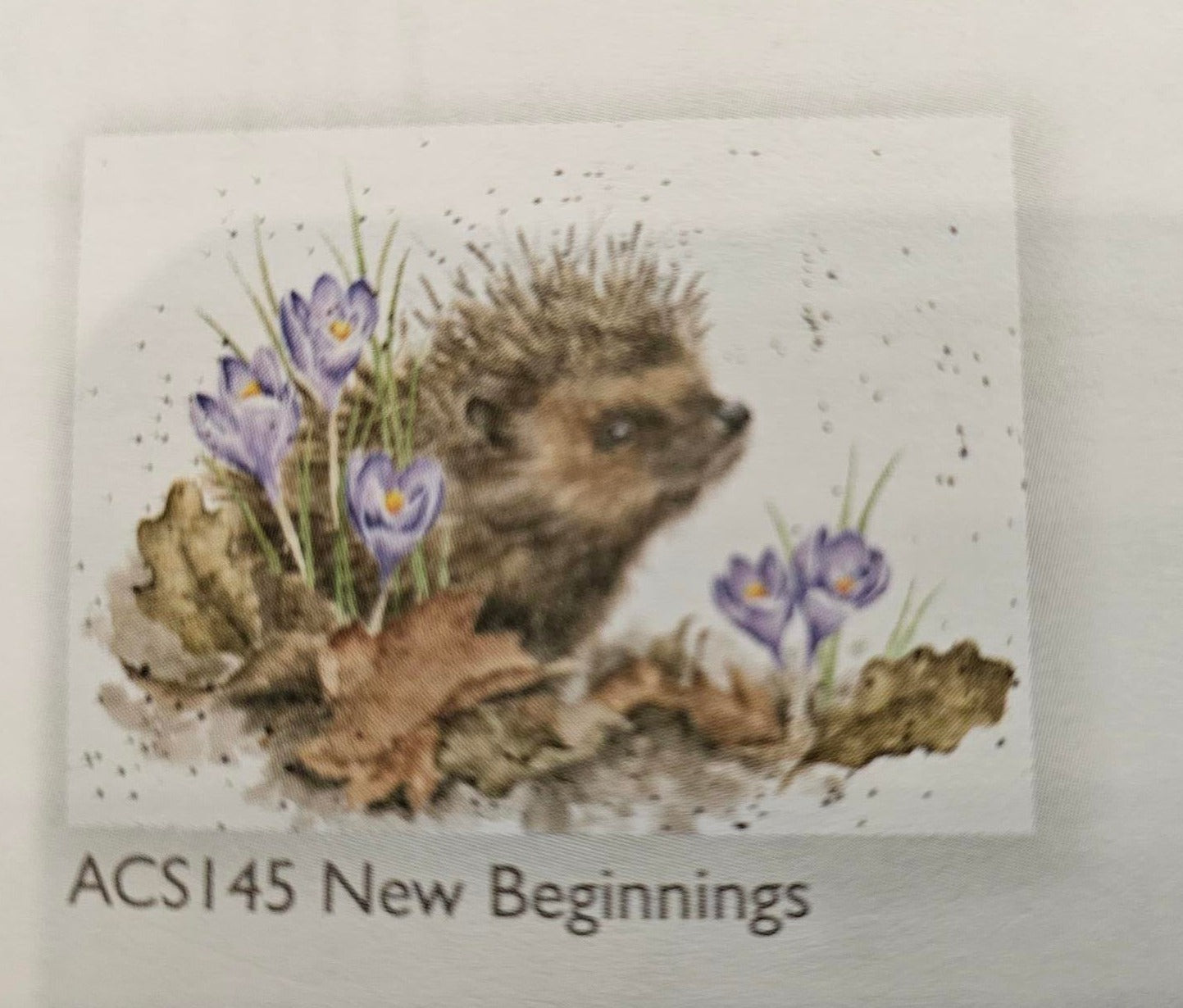 Card - ACS145 NEW BEGINNINGS HEDGEHOG 