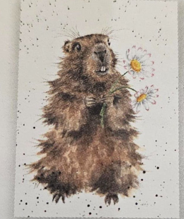 Card - ACS152 THE FIRST DATE GROUND HOG 