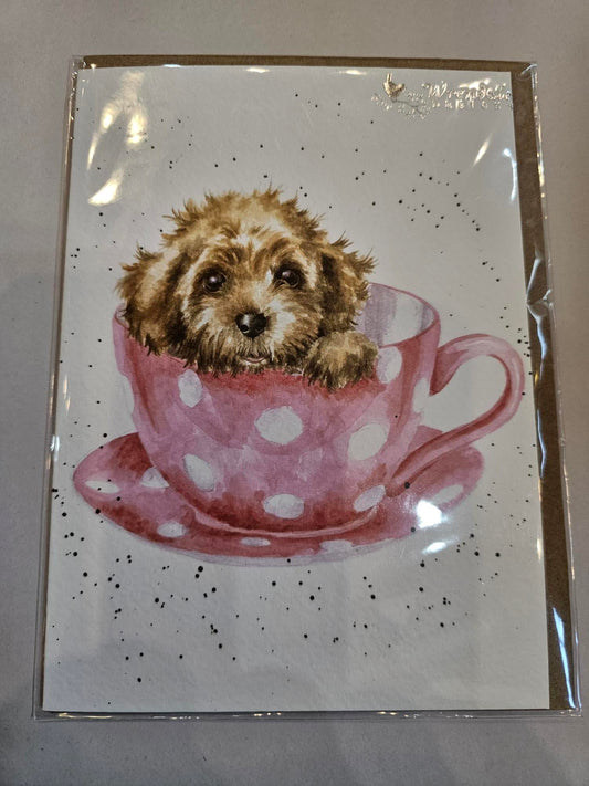 Card - ACS150  Teacup Puppy  Blank 
