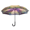 Umbrella-Reverse Close Stick-Waterlilies at Sunset-20260rc 