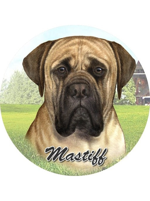 Car Coaster Mastiff Dog 231-80