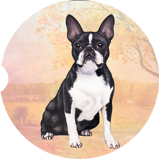 Car Coaster  Boston Terrier  Dog      233-76a 