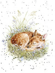 Card Acs237 The Gentle Fawn