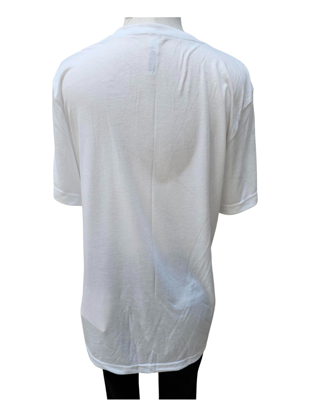 Tee Shirt  Mountains Asheville White