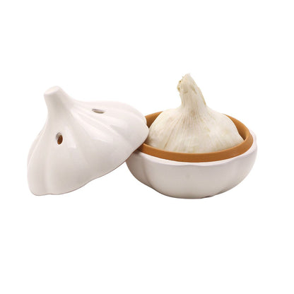 Garlic Pod Terracotta White 31717 