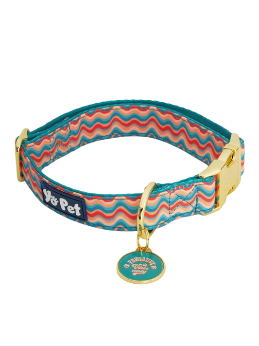 Dog Collar With Tag Orange/Turquoise 413896 
