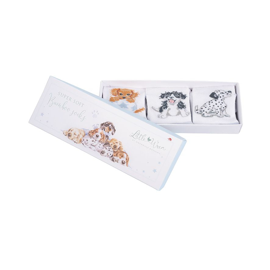 Baby Sock Gift Set - LTW-SOCK003 - Little Paws (0-6 mos) 