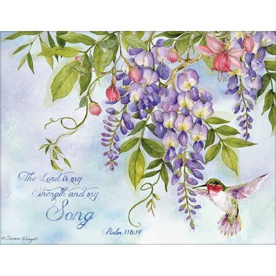 Lang- Note Cards Nature's Grace&nbsp; 12Pk&nbsp; 2080554