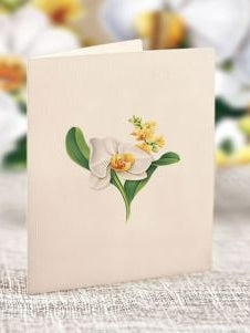 Flower's Boutique Paper Cards Pop Up 6"Mini Peony Paradise 7415