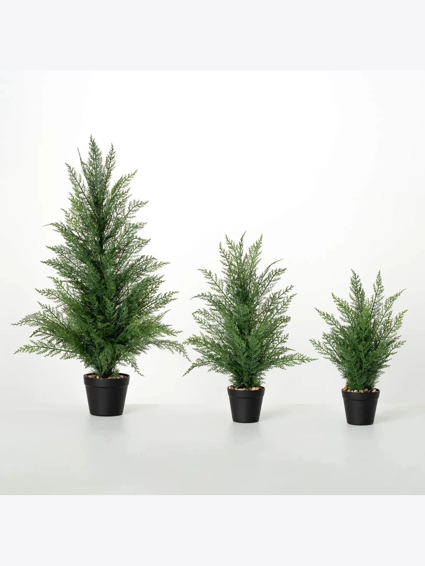 Cedar Tree Potted Plastic TR1285