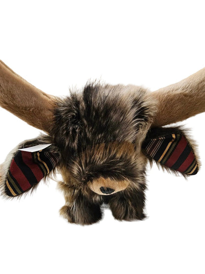 highland cow
